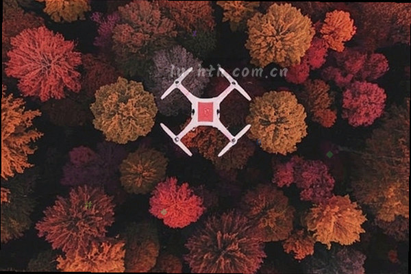 篮球运动员跃起投篮